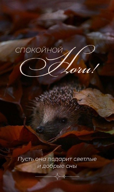 Фото поста канала  Волгоград