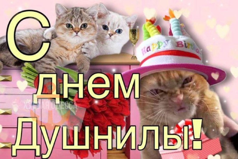 Фото поста канала Хуевая Одесса