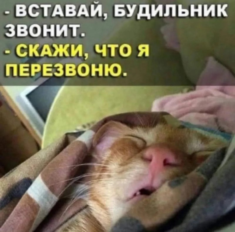 Фото поста канала  ИА ЛАБЫТНАНГИ