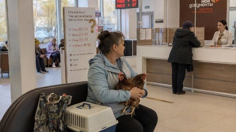 Фото поста канала  РОСТОВ ПАПА РОСТОВ-НА-ДОНУ