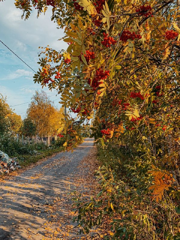 Фото поста канала  Типичный Воронеж