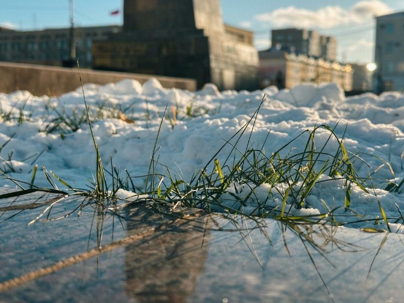 Фото поста канала  Мониторинг Арктика