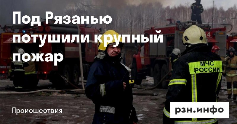 Фото поста канала  Новости Рязани • РЗН.инфо