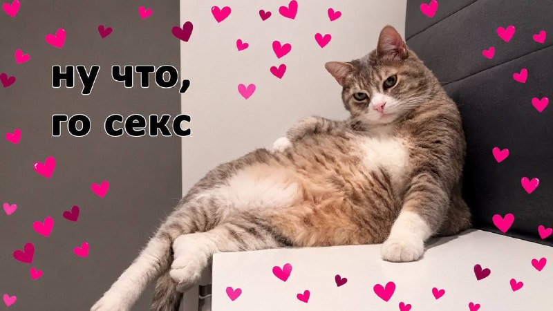 Фото поста канала Питер Live