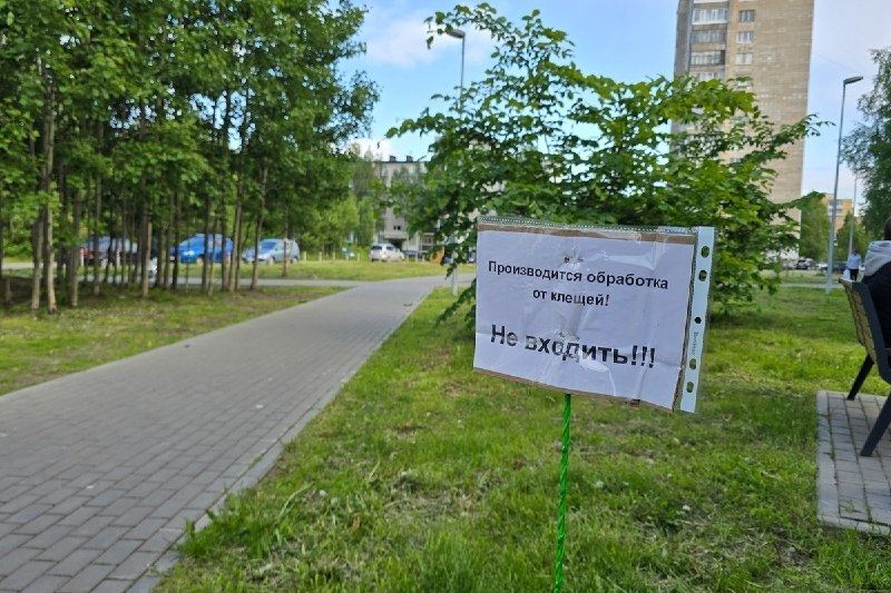 Фото поста канала  АрхДайджест