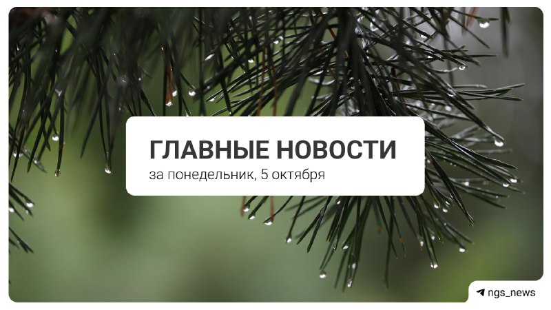 Фото поста канала НГС — новости Новосибирска