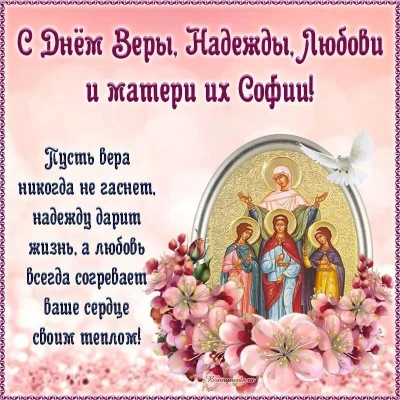 Фото поста канала  Помощь СВОим