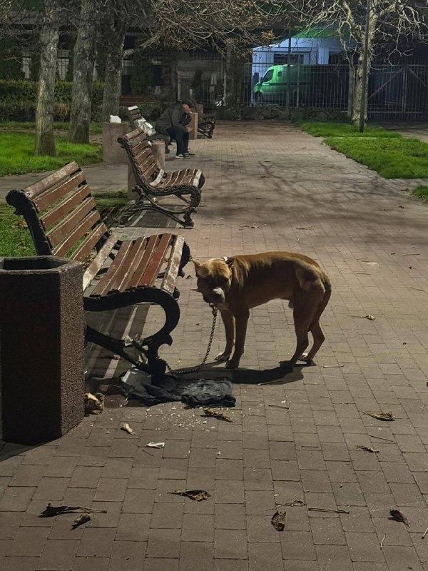 Фото поста канала  Днепр агрегатор новостей