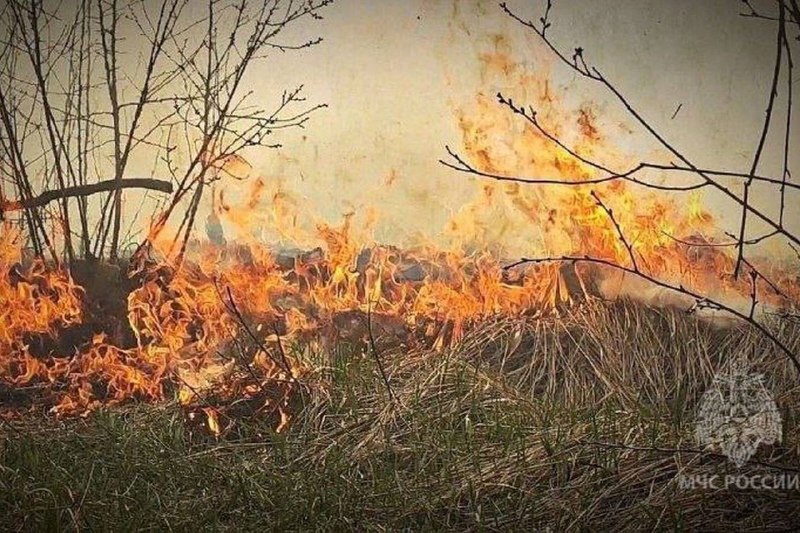 Фото поста канала Самара ДТП | samara.dtp.official