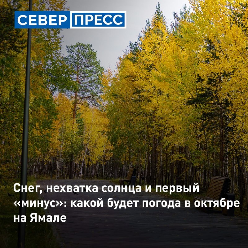 Фото поста канала  Мониторинг 89 Ямало-Ненецкий АО