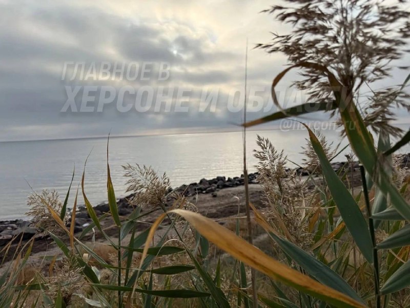 Фото поста канала  Главное в Скадовске