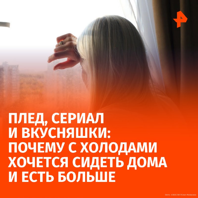 Фото поста канала  РЕН ТВ|Новости