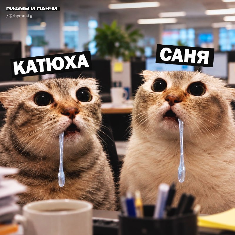 Фото поста канала  Рифмы и Панчи 🤯