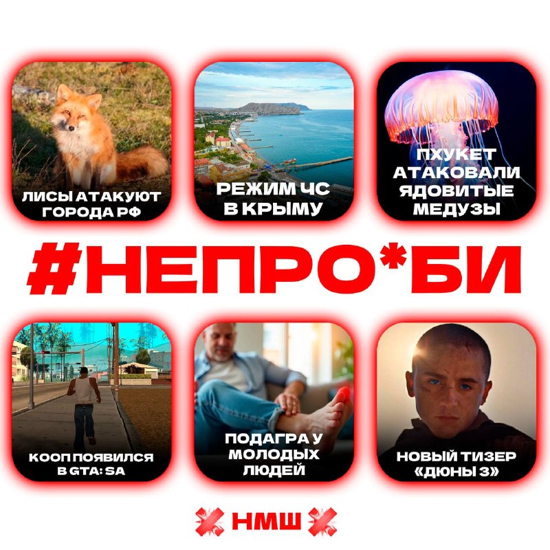 Фото поста канала НМШ 