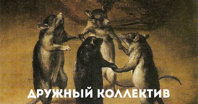 Фото поста канала натуральный маркетинг