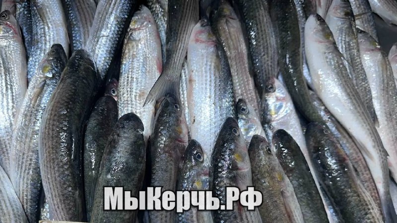 Фото поста канала  Крымский