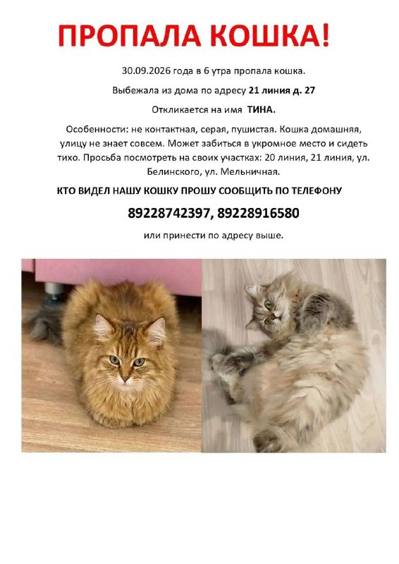Фото поста канала  ПОДСЛУШАНО БУЗУЛУК