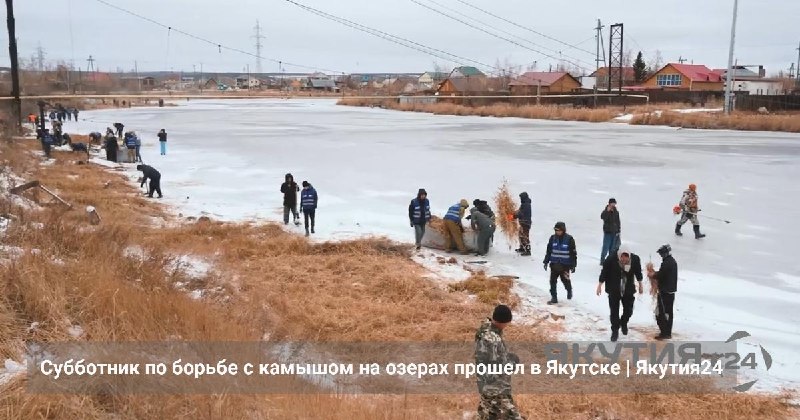 Фото поста канала  Мониторинг 51 Мурманская область
