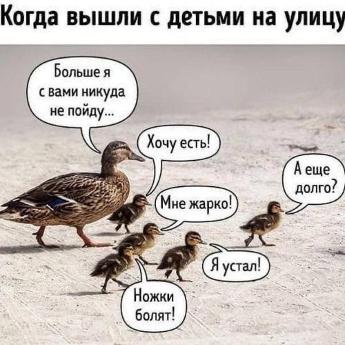 Фото поста канала Москва детям | Куда сходить?