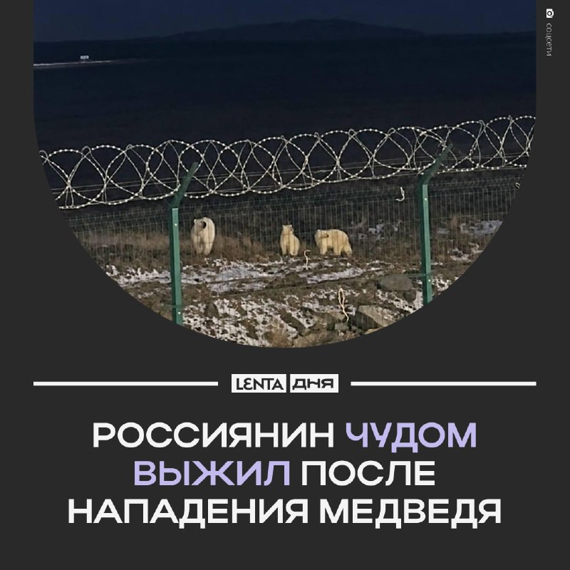 Фото поста канала Лента дня