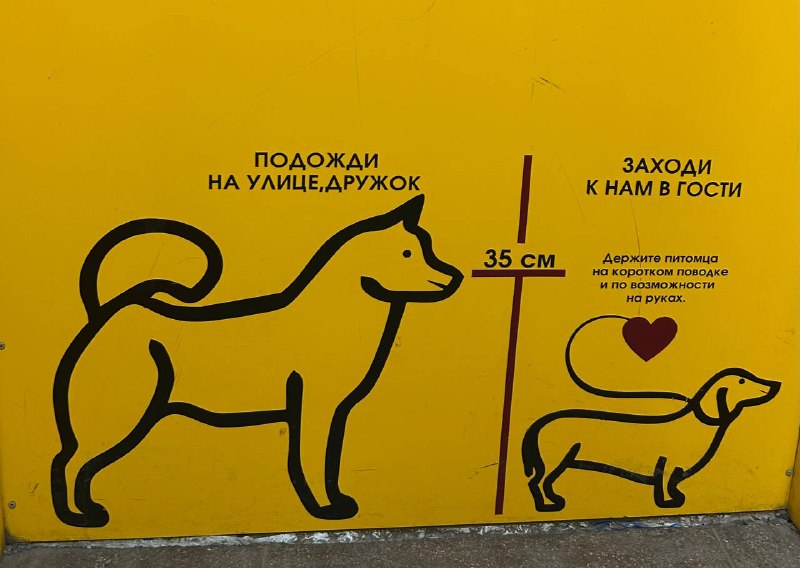 Фото поста канала  Арина Бородина