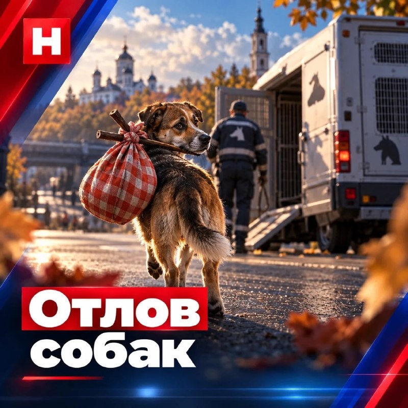 Фото поста канала  НИКА
