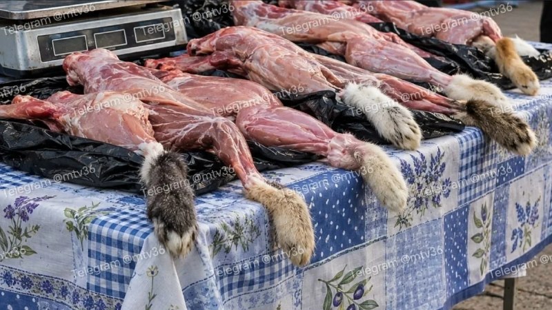 Фото поста канала  Жители Воронежа | РАДАР