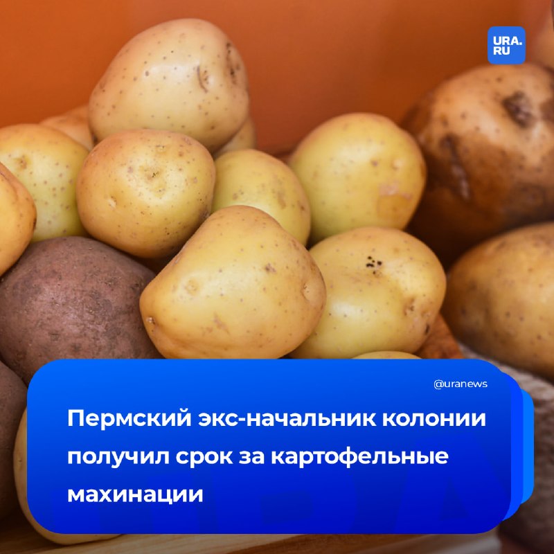 Фото поста канала  URA.RU