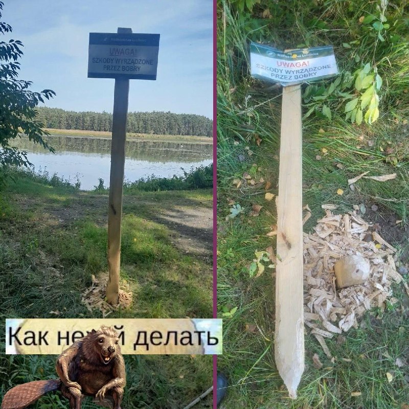 Фото поста канала  Базар