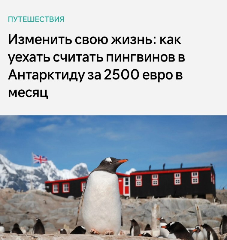 Фото поста канала Картотека