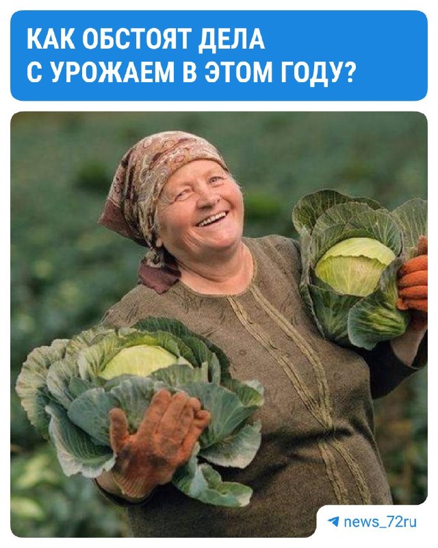 Фото поста канала  Новости Тюмени | 72.RU