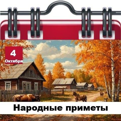 Фото поста канала  Жесть Шебекино
