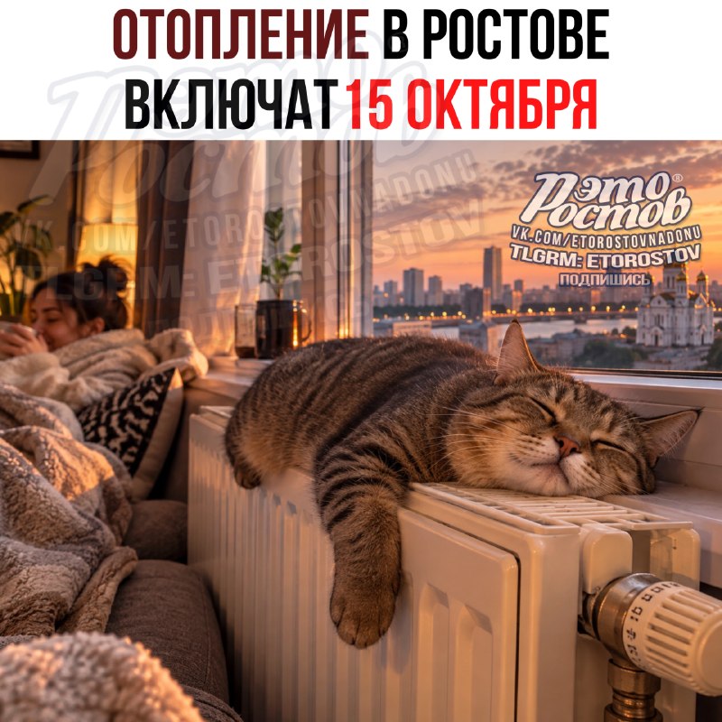 Фото поста канала  Это Ростов новости