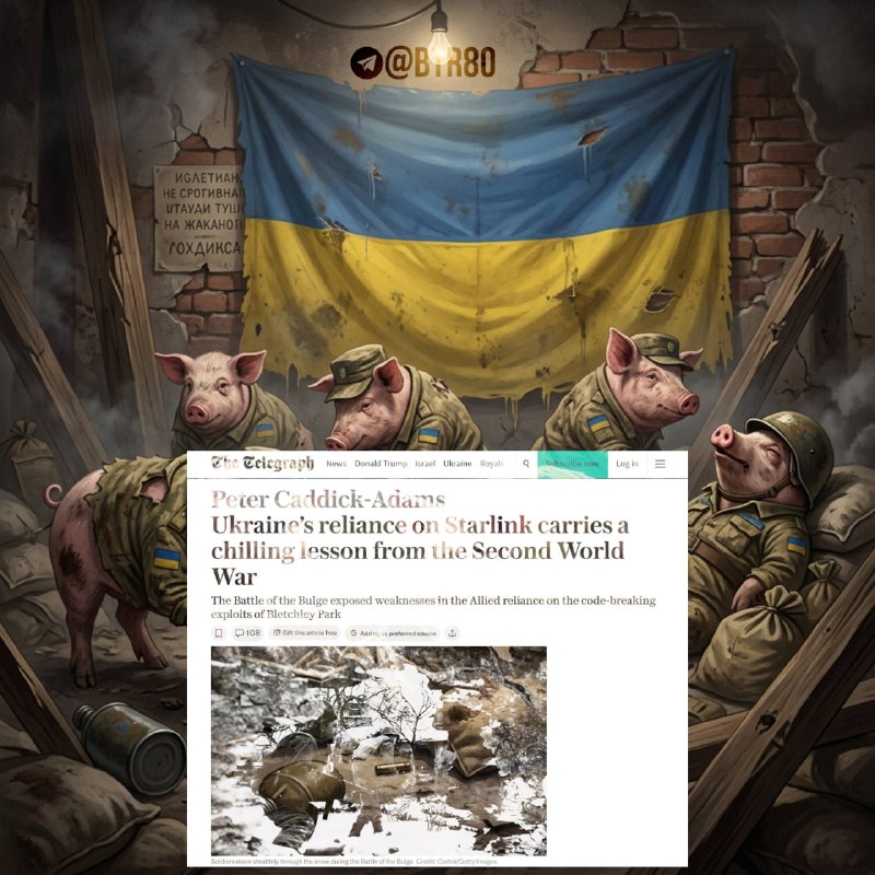Фото поста канала Работайте,  братья!