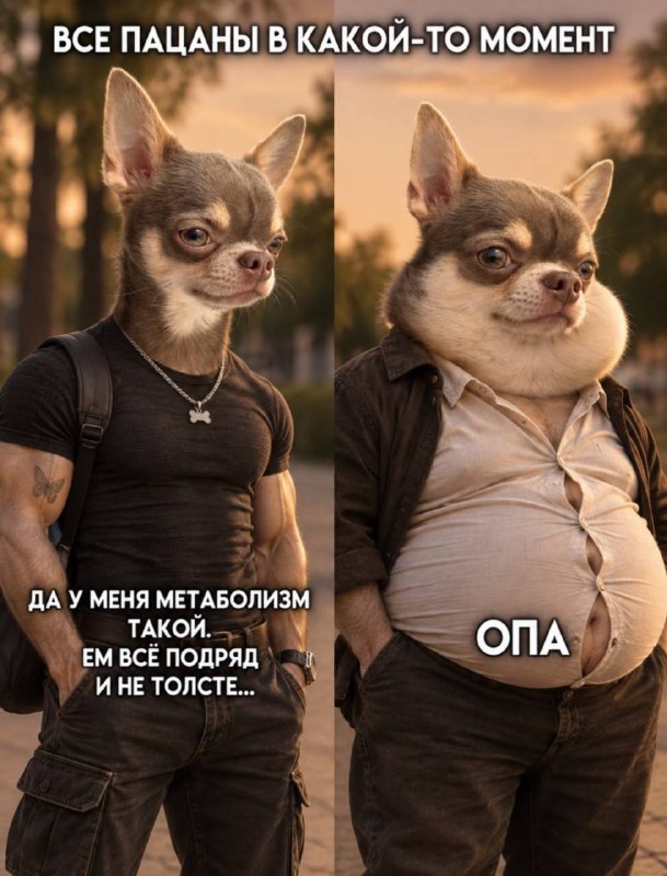 Фото поста канала E V O L U T I O N
