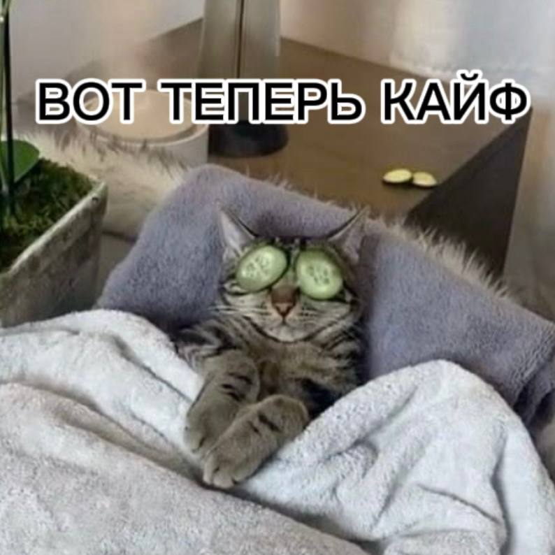Фото поста канала Карты таро 🔮 с Анастасией Лыковой