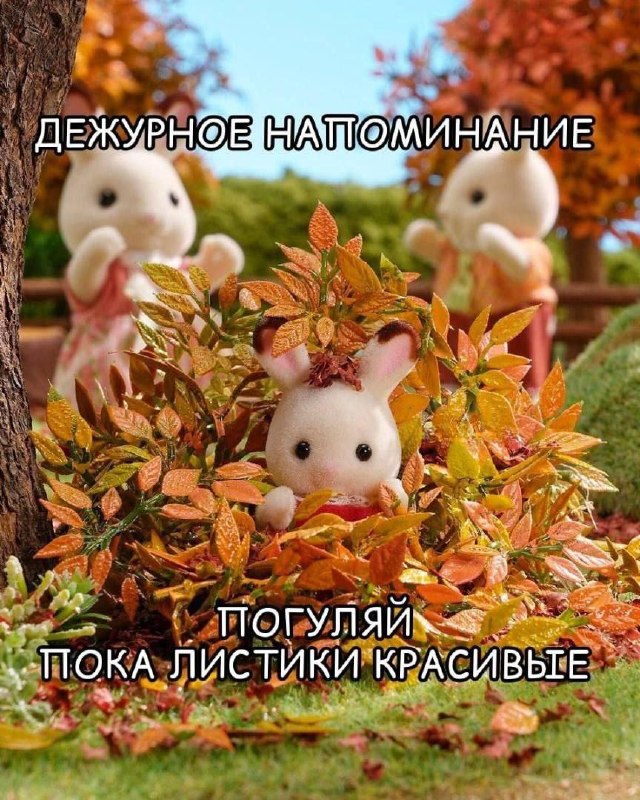 Фото поста канала  74.RU| Новости Челябинска