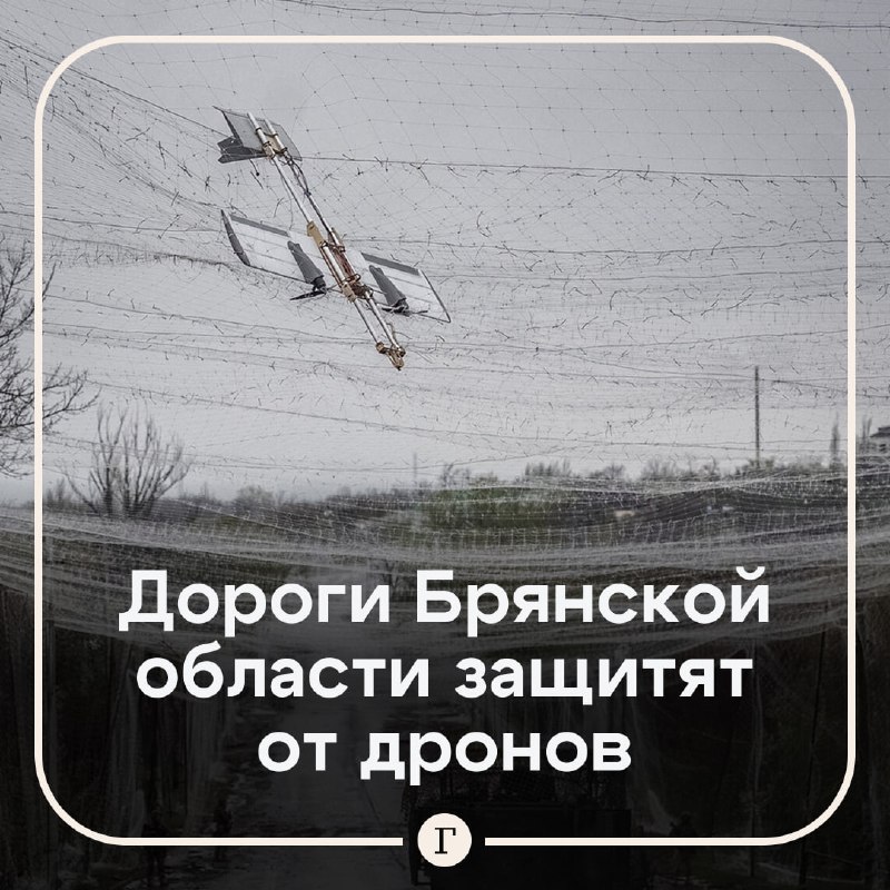 Фото поста канала  Газета.Ru