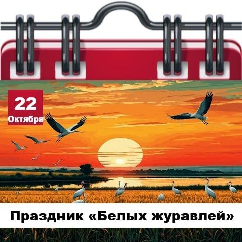Фото поста канала  Жесть Шебекино