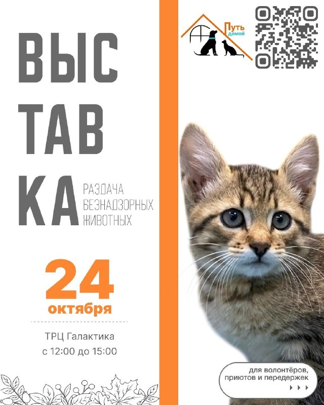 Фото поста канала  Важное в Смоленске