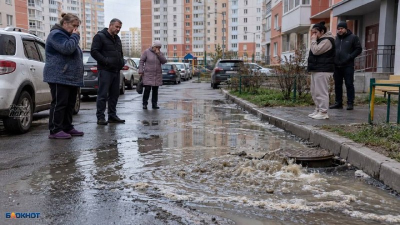 Фото поста канала  РОСТОВ ПАПА РОСТОВ-НА-ДОНУ