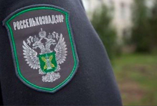 Фото поста канала  Орловские новости