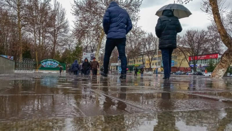 Фото поста канала  Қорахабар | Тезкор Хабарлар