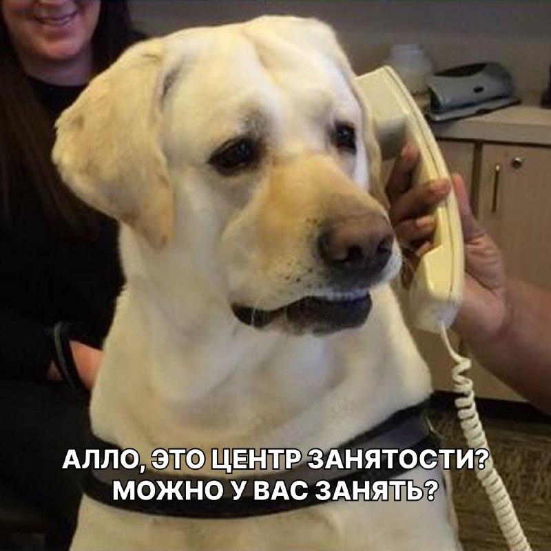 Фото поста канала Пикабу