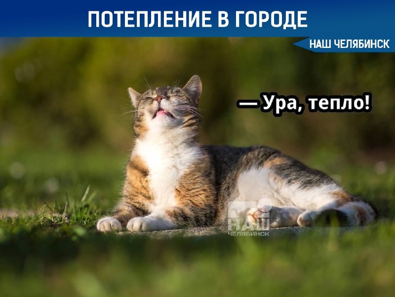 Фото поста канала  Наш Челябинск