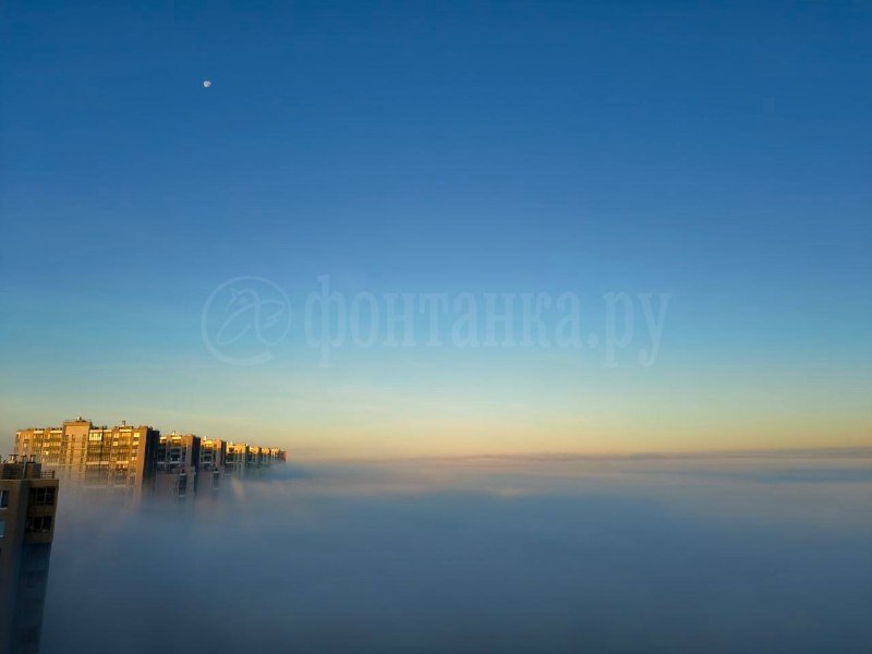 Фото поста канала  Фонтанка SPB Online