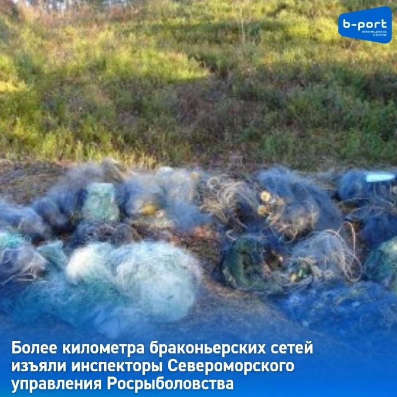 Фото поста канала  Мониторинг 51 Мурманская область