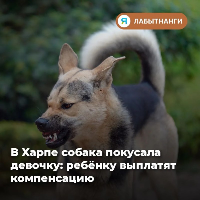 Фото поста канала  ИА ЛАБЫТНАНГИ