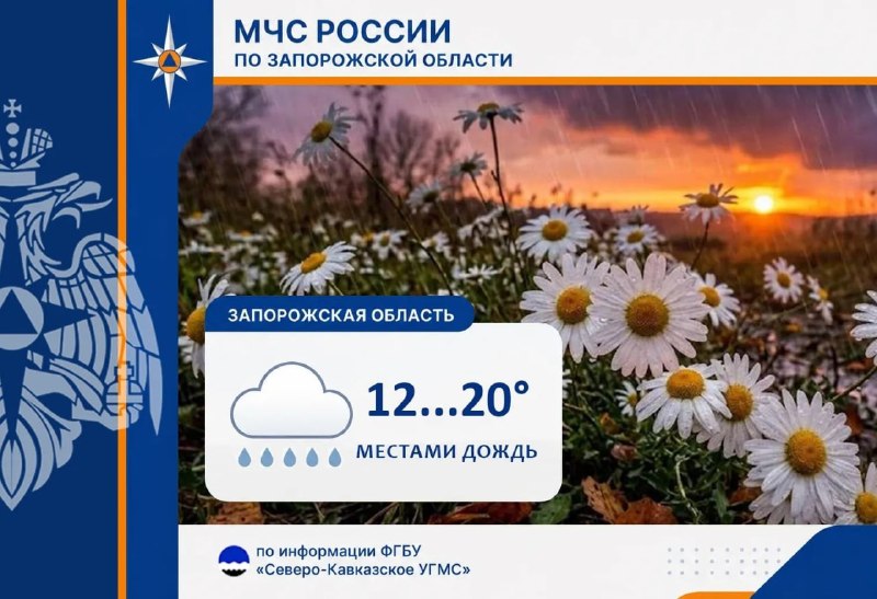 Фото поста канала  Главное в Мелитополе