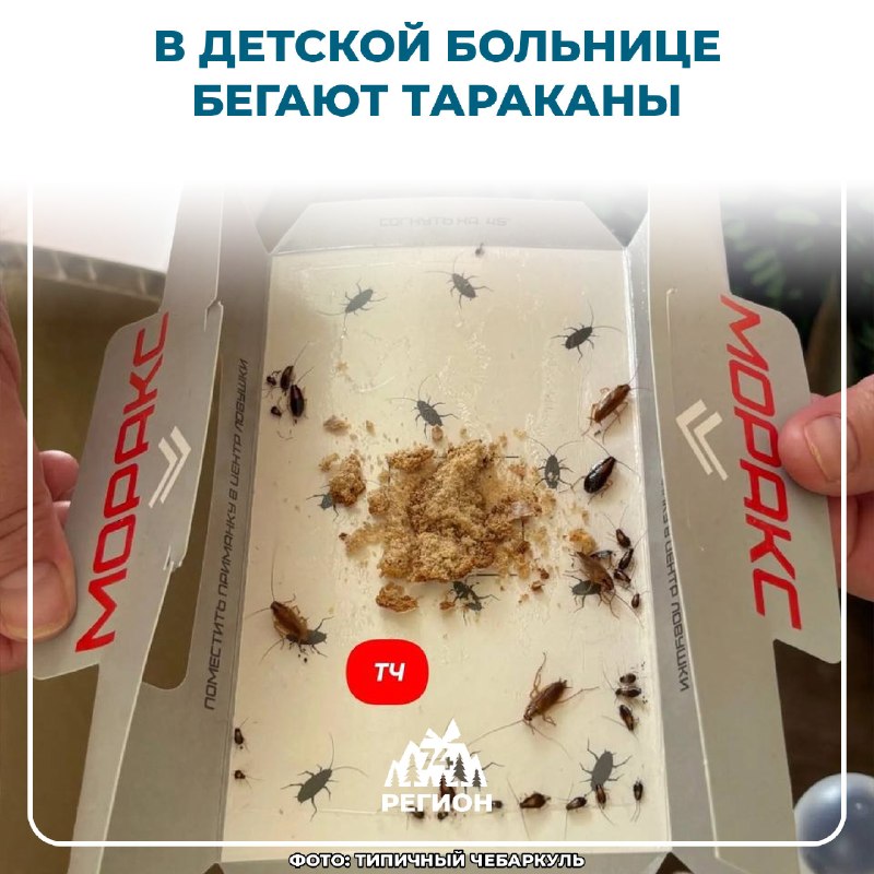 Фото поста канала  Регион 74 | Южный Урал и Челябинск